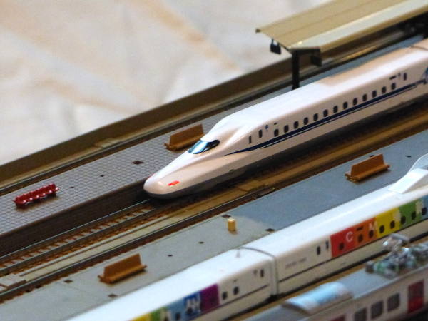 �V�����͌^