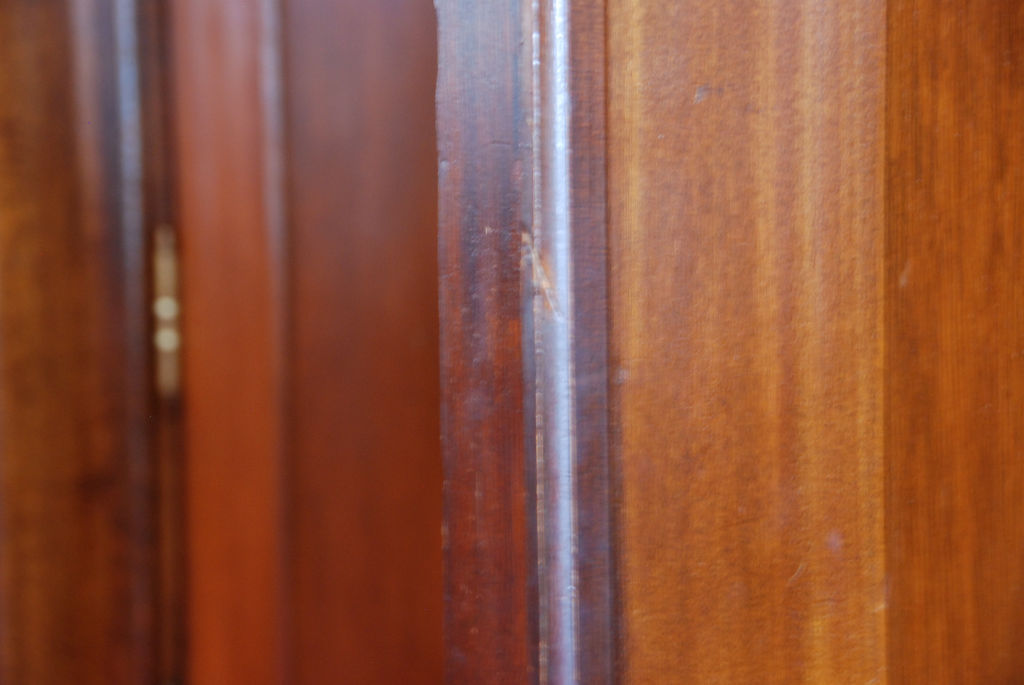 �O���R�I�v�̓���