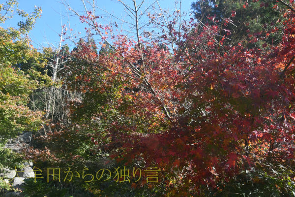 �������g�t2024